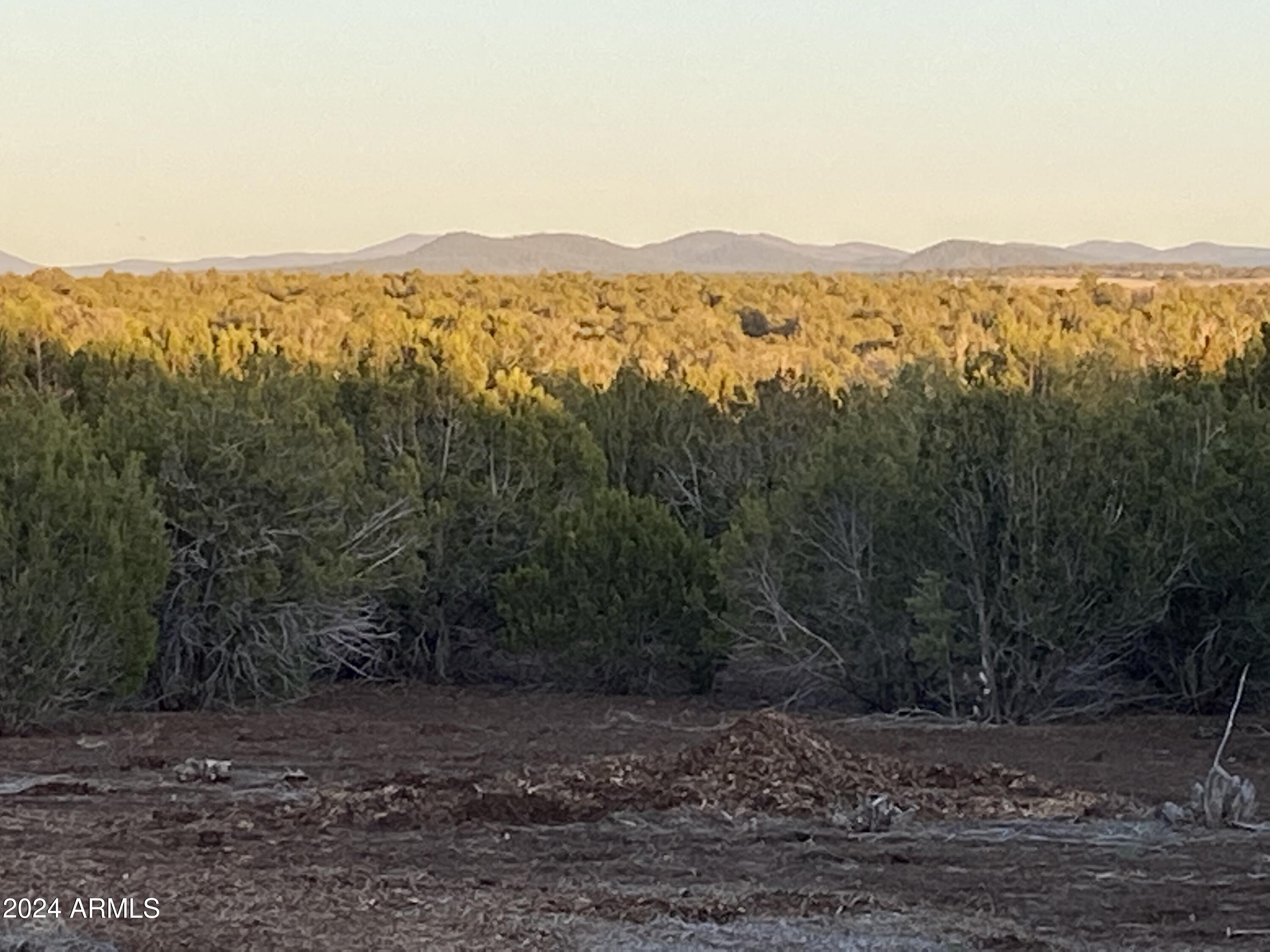 0 Th Show Low, AZ 85901 - Photo 2 of 9 a view of a mountain with a mountain in the background