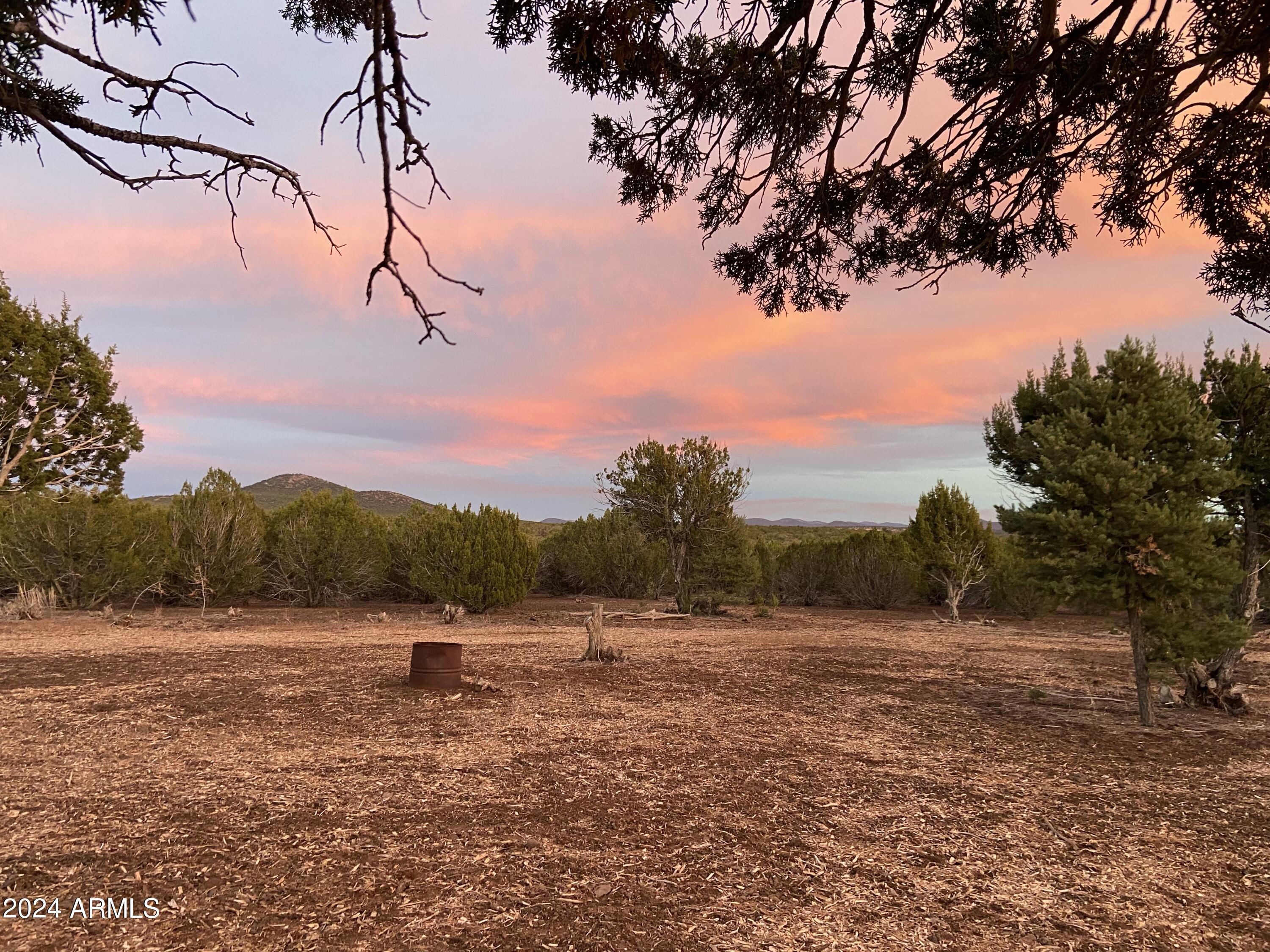 0 Th Show Low, AZ 85901 - Photo 4 of 9 a view of mountain with lake view