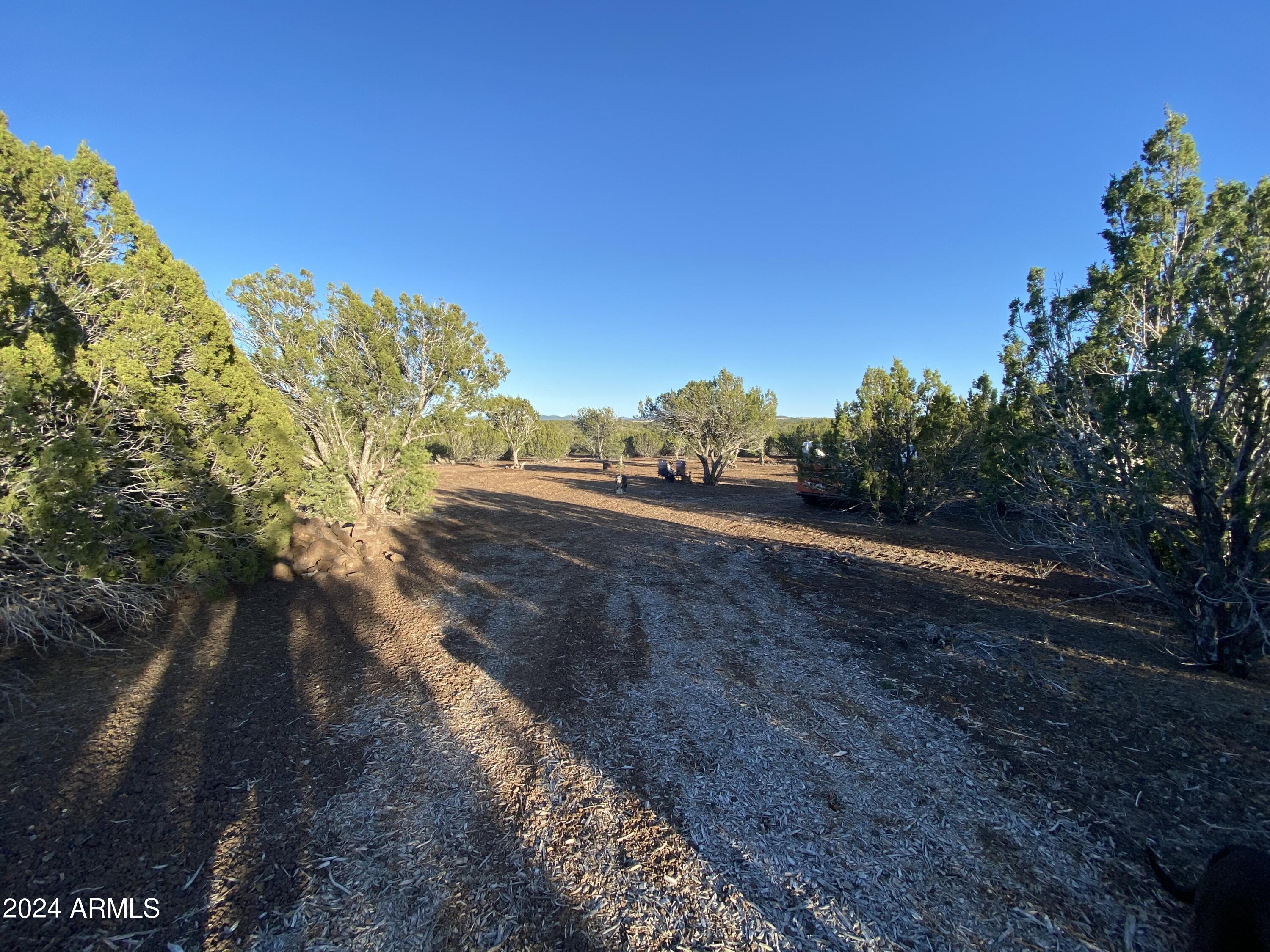 0 Th Show Low, AZ 85901 - Photo 5 of 9 a view of a yard with mountain view