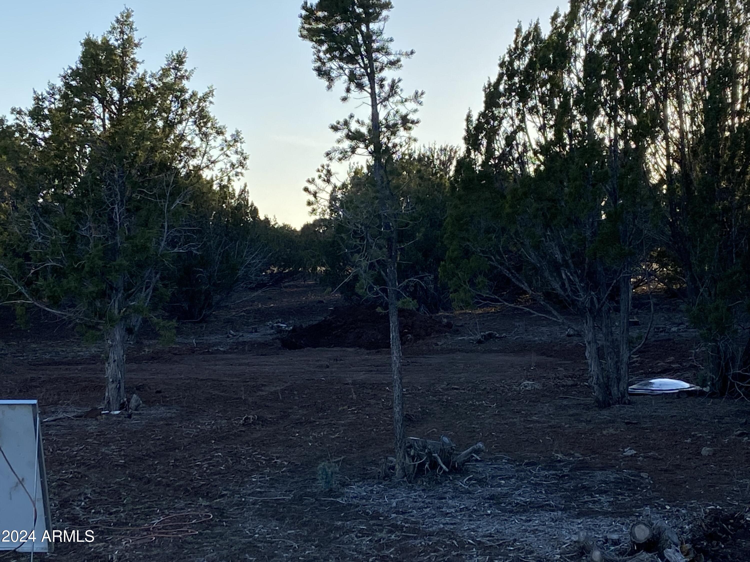 0 Th Show Low, AZ 85901 - Photo 6 of 9 a view of a yard with plants