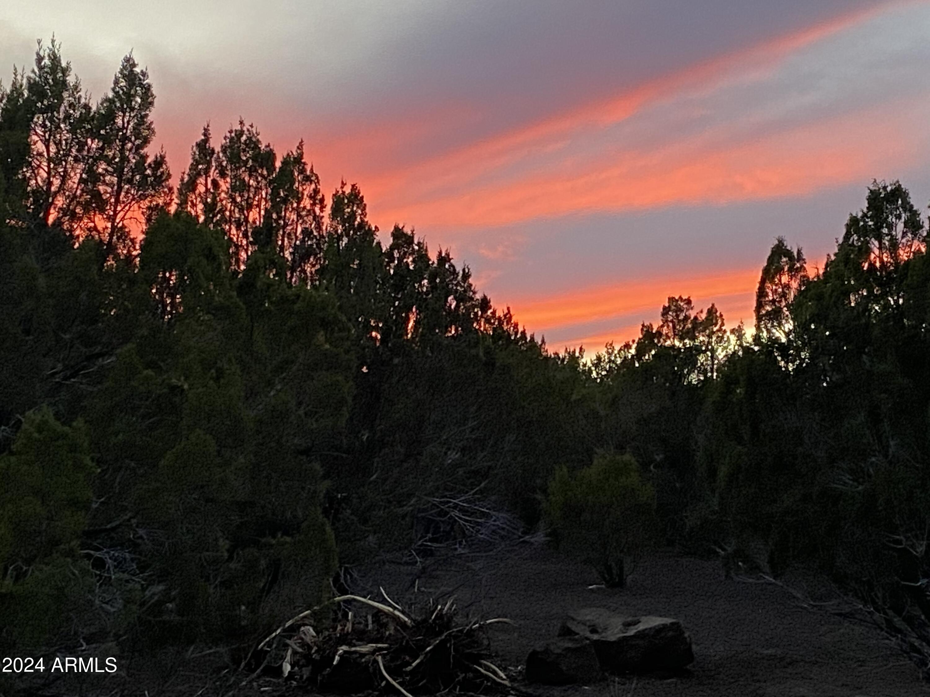 0 Th Show Low, AZ 85901 - Photo 7 of 9 a view of a yard in front of the house