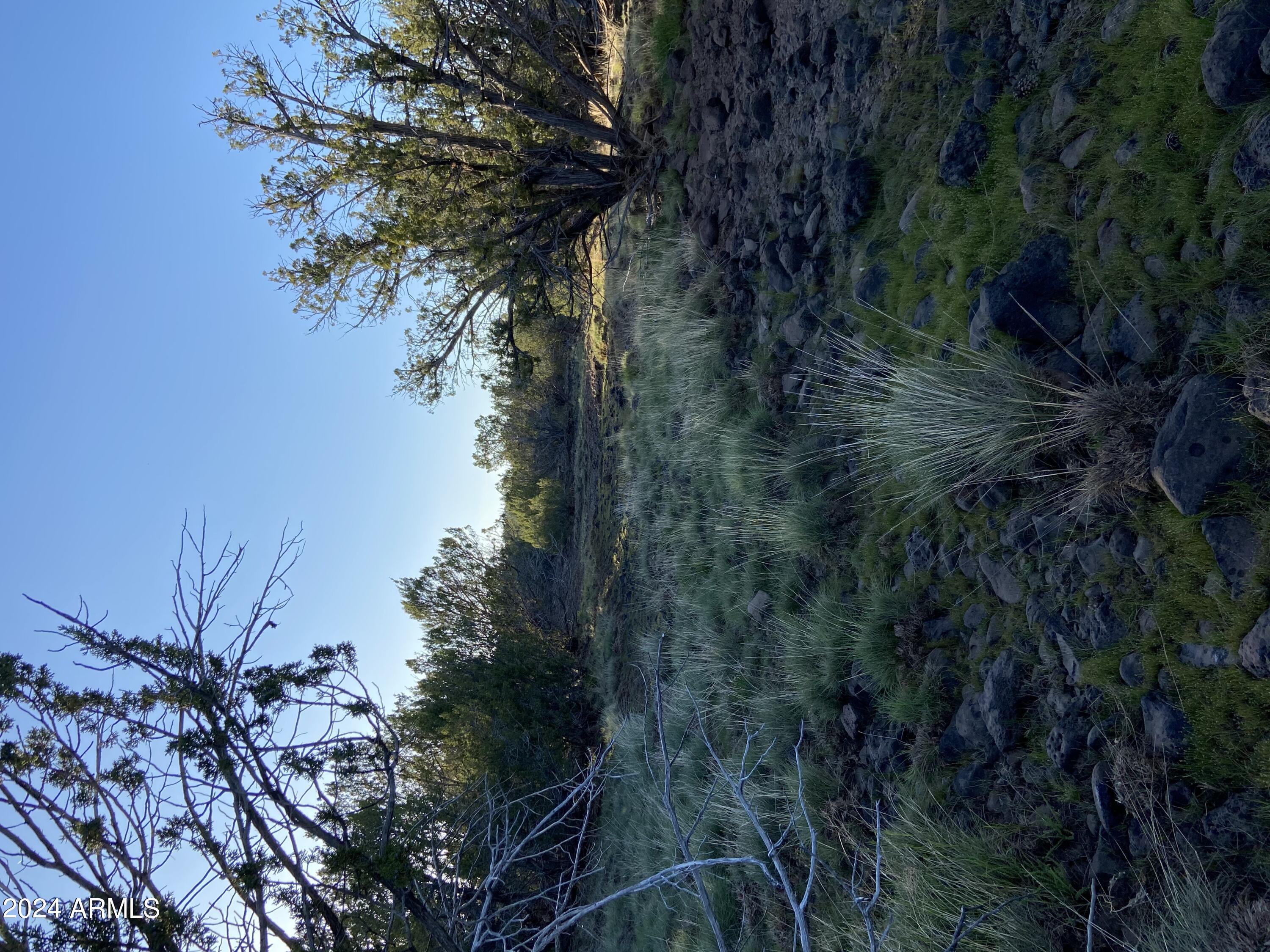 0 Th Show Low, AZ 85901 - Photo 8 of 9 a backyard of a house with lots of green space