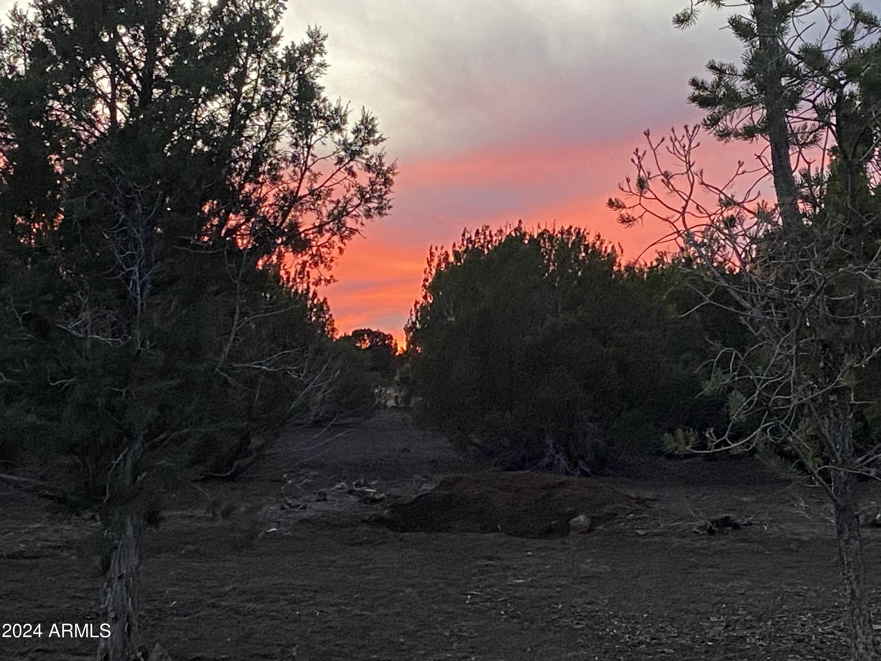 0 Th Show Low, AZ 85901 - Photo 9 of 9 a backyard of a house with lots of green space