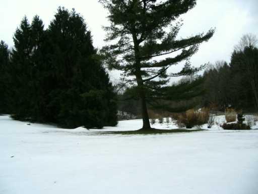 466 Freeman Road Ligonier, PA 15658 - Photo 3 of 8 Other.