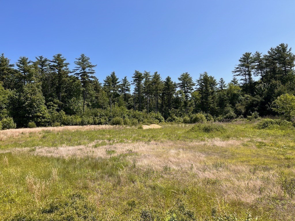 0 Palmer Road Plympton, MA 02367 - Photo 11 of 15 a view of a yard with a tree