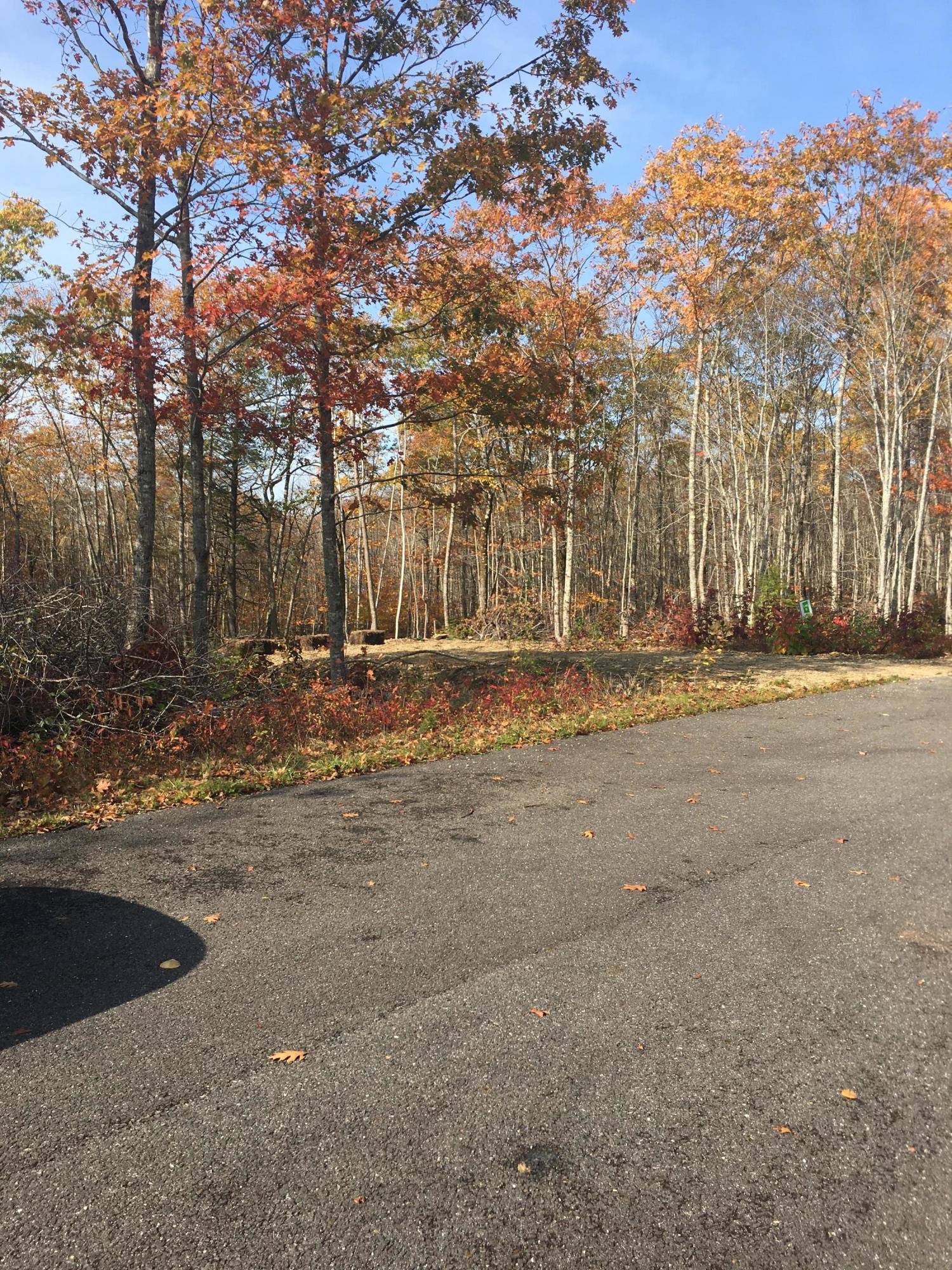 14 Mossy Rdg Road Belfast, ME 04915 - Photo 4 of 4 Road View