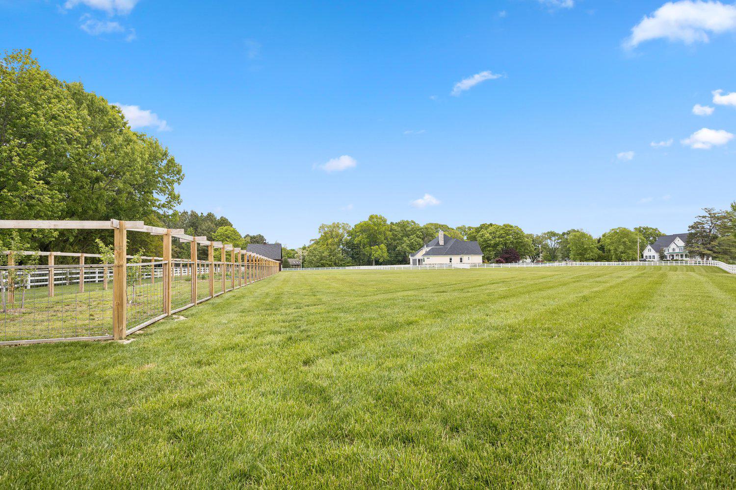 313 Wye Road Queenstown, MD 21658 - Photo 119 of 132 Sprawling green pasture under a clear blue sky.