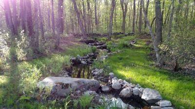 254 Collins Road Hopkinton, RI 02804 - Photo 11 of 38 Gallery Image 11