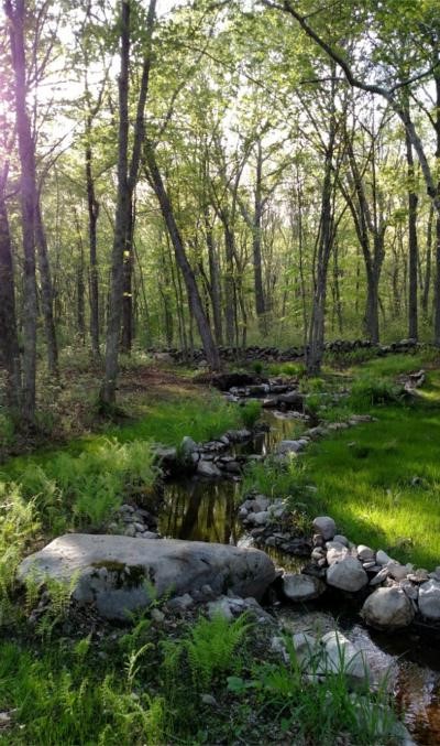 254 Collins Road Hopkinton, RI 02804 - Photo 12 of 38 Gallery Image 12
