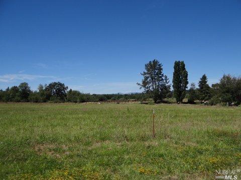 10265 Green Meadow Road Sebastopol, CA 95472 - Photo 1 of 1 a view of a grassy field with trees