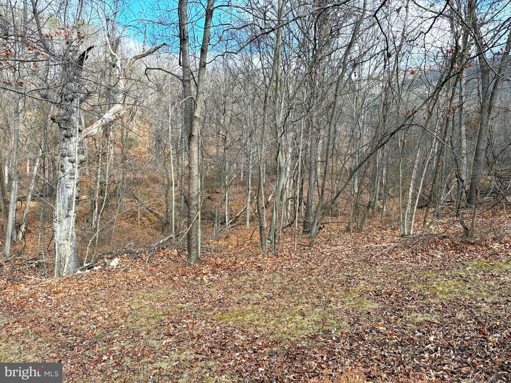 16 Rolling Acres Road Old Fields, WV 26845 - Photo 16 of 23
