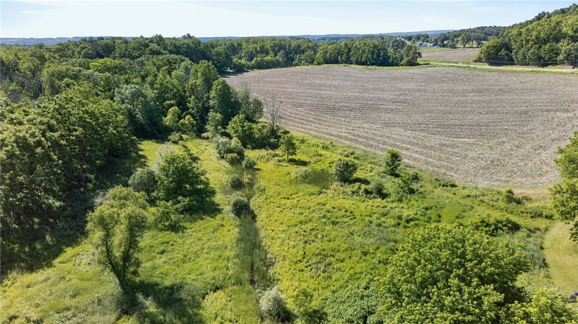 Cramer Road Canandaigua, NY 14424 - Photo 3 of 47