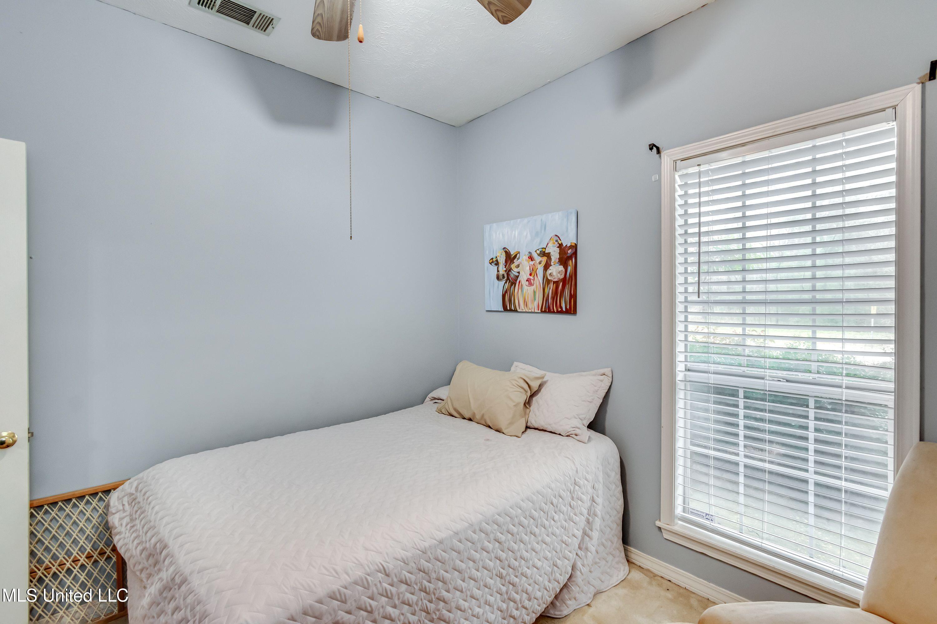 610 Old Rice Road Madison, MS 39110 - Photo 30 of 43 BD3