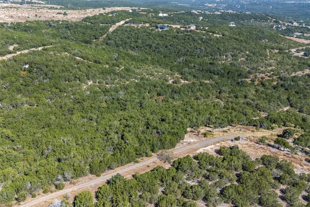 view of a forest with a houses