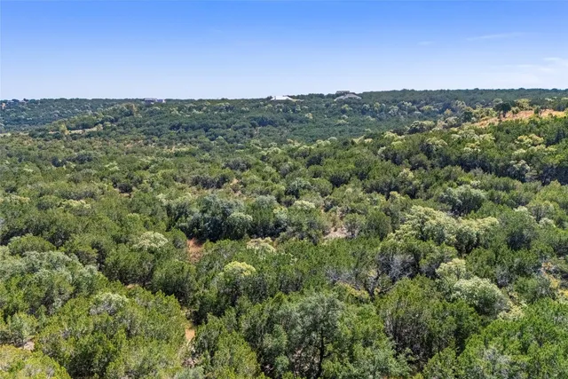 a view of a forest with a mountain in the background