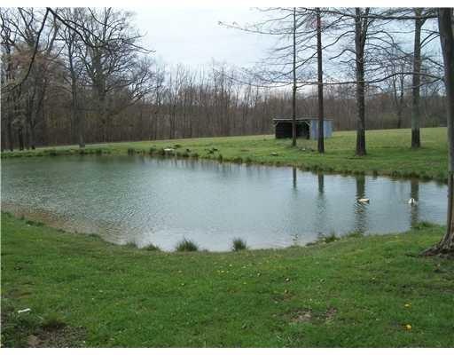 811 Markleton School Road Markleton, PA 15551 - Photo 4 of 18 View. Pond with dock