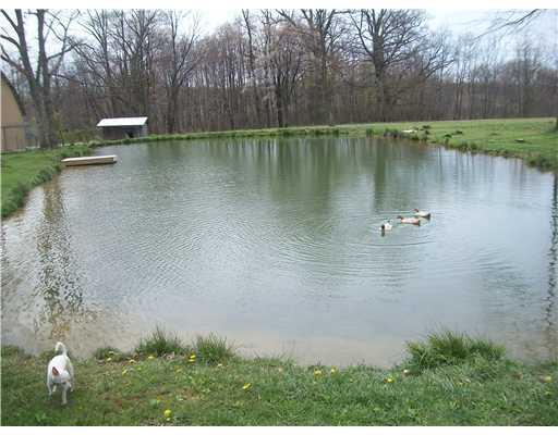 811 Markleton School Road Markleton, PA 15551 - Photo 5 of 18 View. Pond & dock
