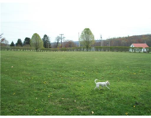 811 Markleton School Road Markleton, PA 15551 - Photo 6 of 18 Land/Lot. View of yard