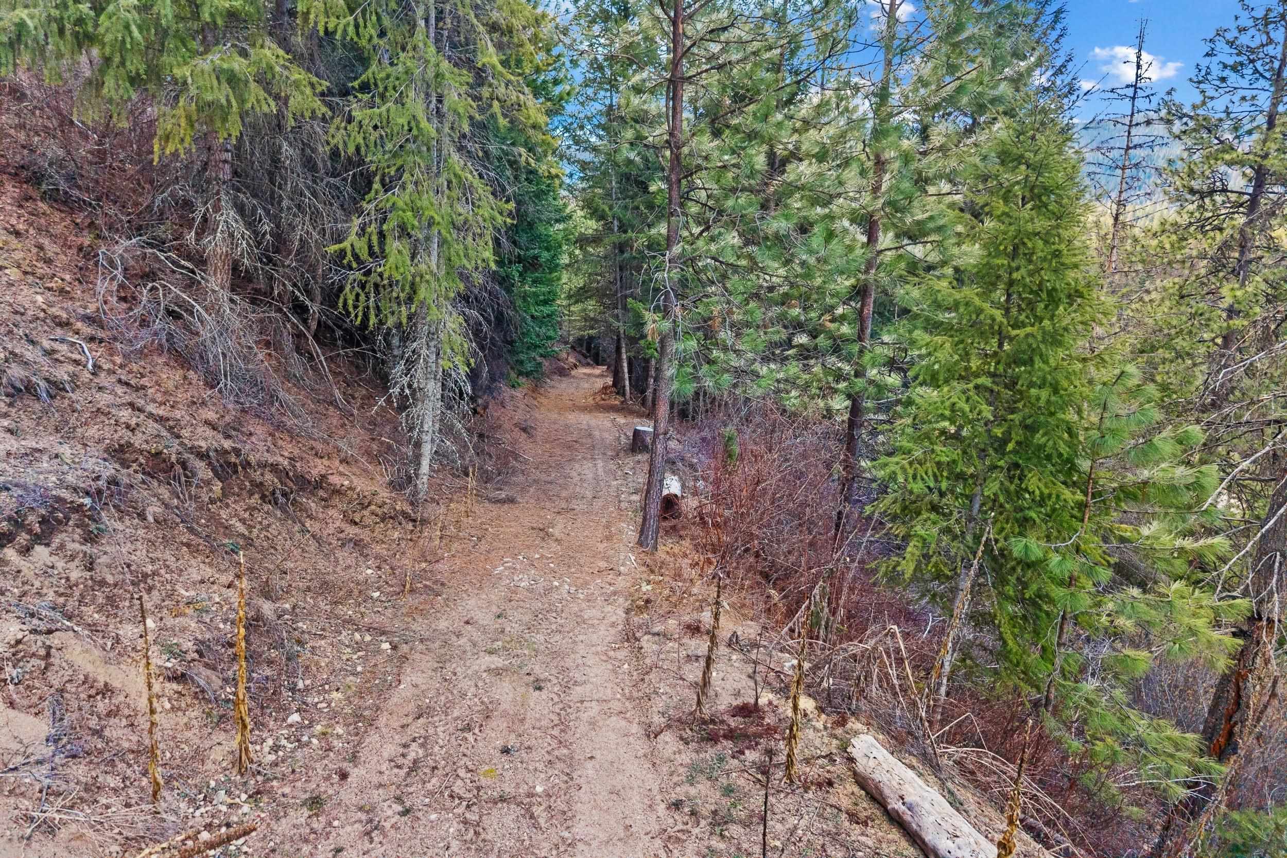 20286 LeClerc Road North Cusick, WA 99119 - Photo 36 of 47
