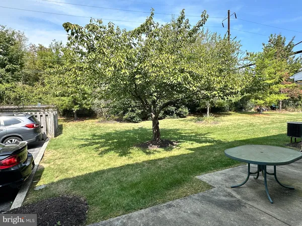 a view of a garden with a bench