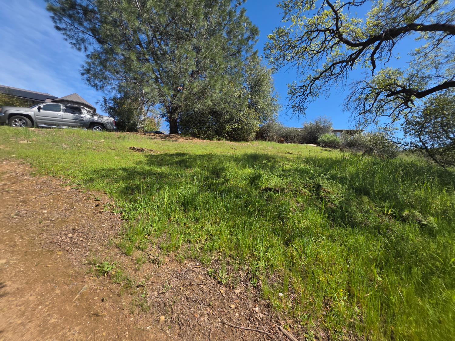 a view of a backyard with large trees