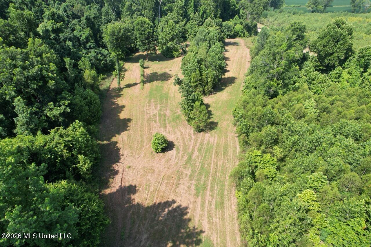 Annas Bottom Road Natchez, MS 39120 - Photo 10 of 48 DJI_0411 Large