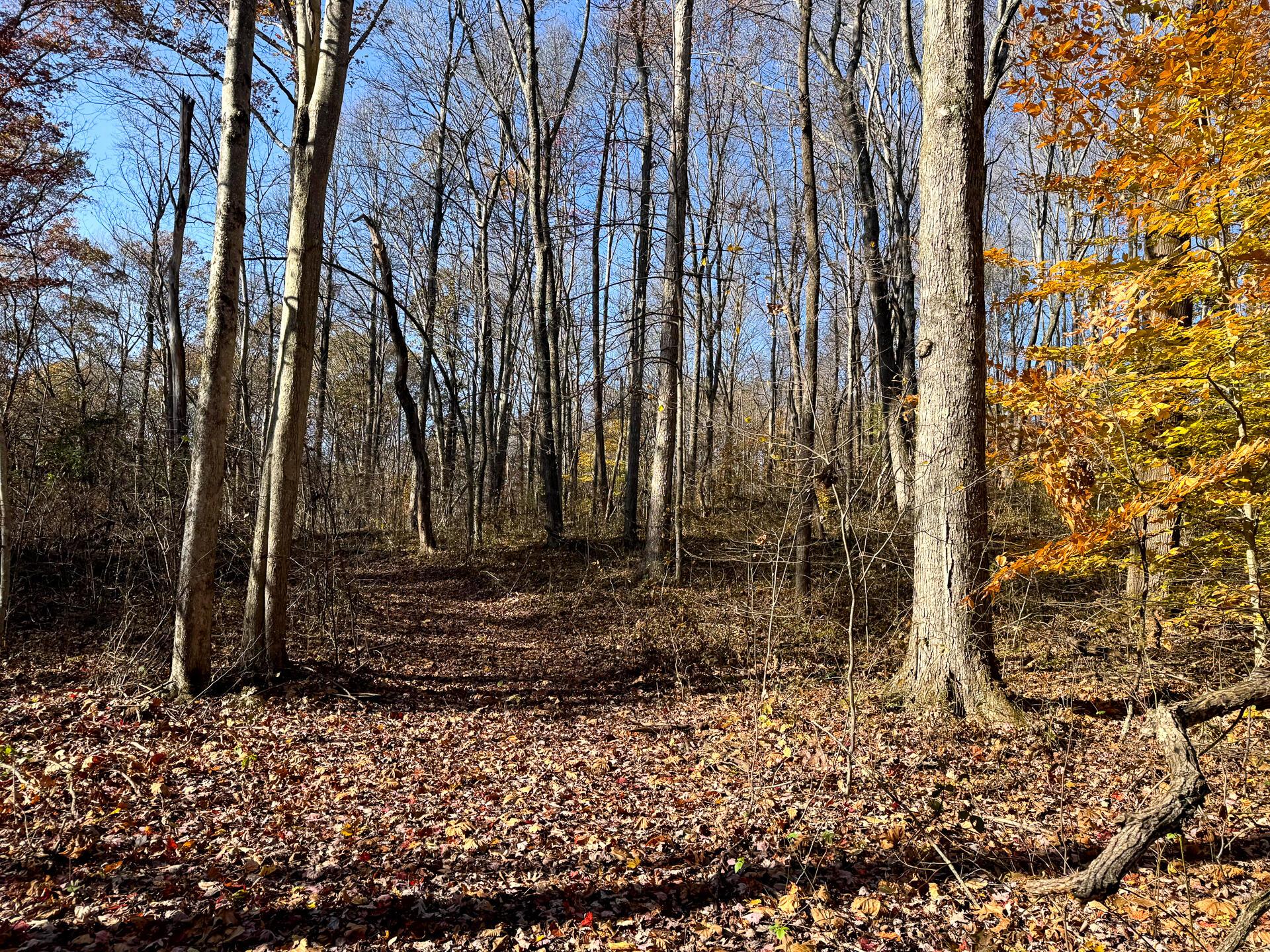 929 Poplar Ridge Road, Unit PONDS POPLAR RIDGE TRACT 14) Gallipolis, OH 45631 - Photo 12 of 30 CT-12
