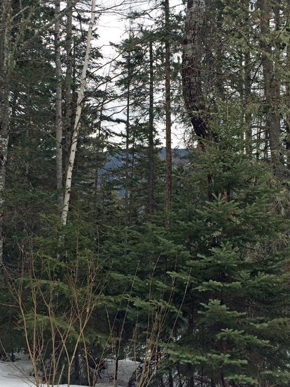 Great potential mountain views!