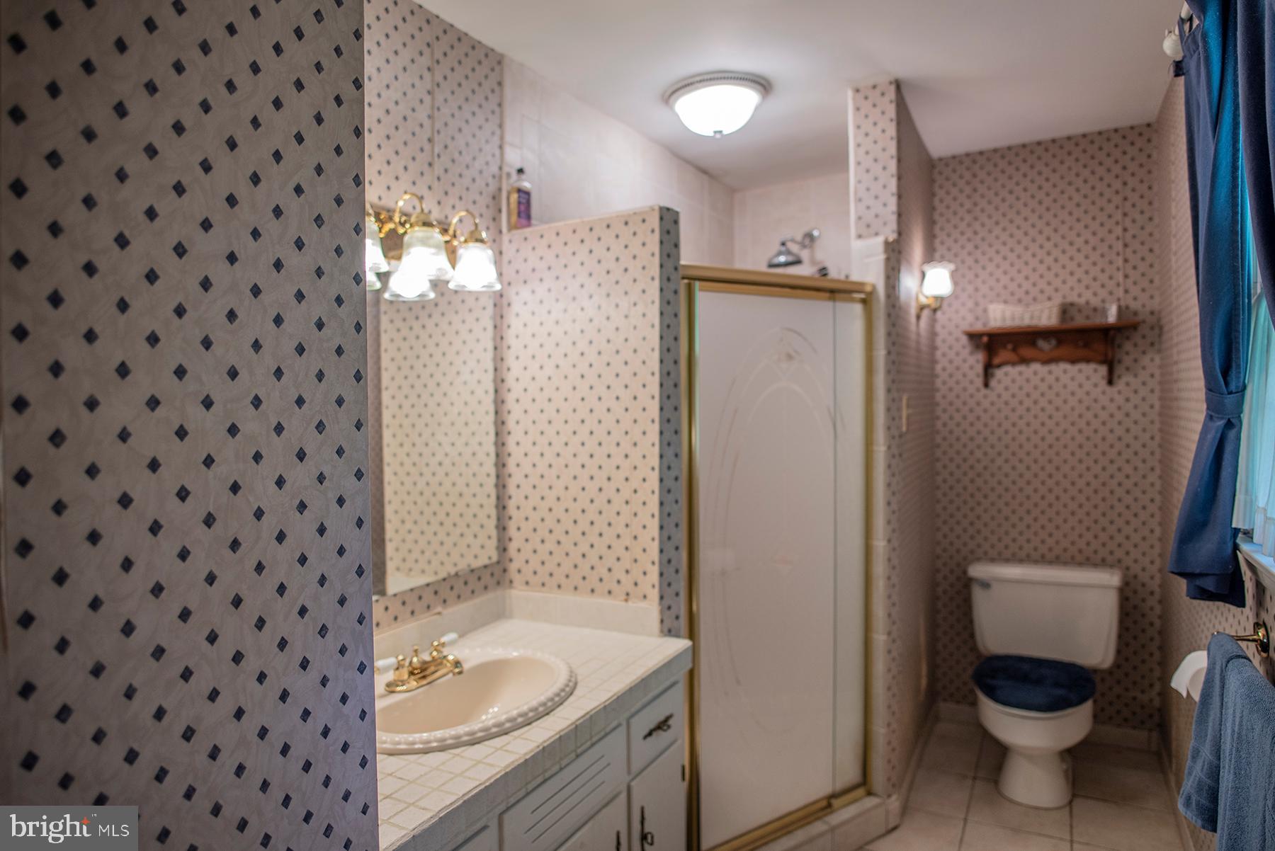 19628 Spring Creek Road Hagerstown, MD 21742 - Photo 17 of 23 Master bathroom