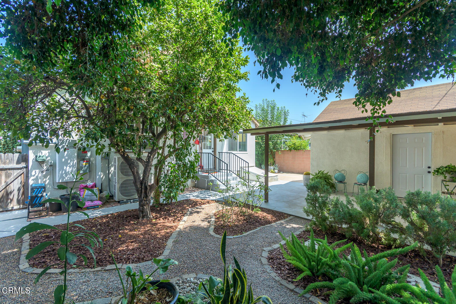 6540 Northside Drive Los Angeles, CA 90022 - Photo 38 of 54 a view of a yard with plants and a large tree