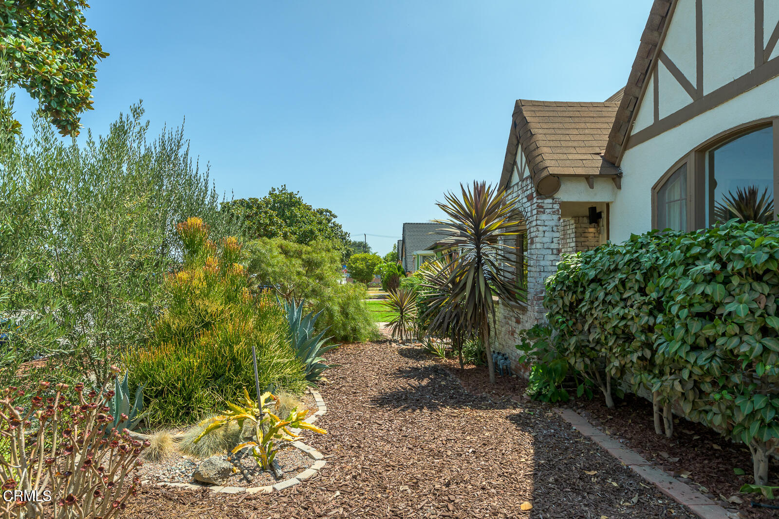 6540 Northside Drive Los Angeles, CA 90022 - Photo 46 of 54 a view of a garden with plants