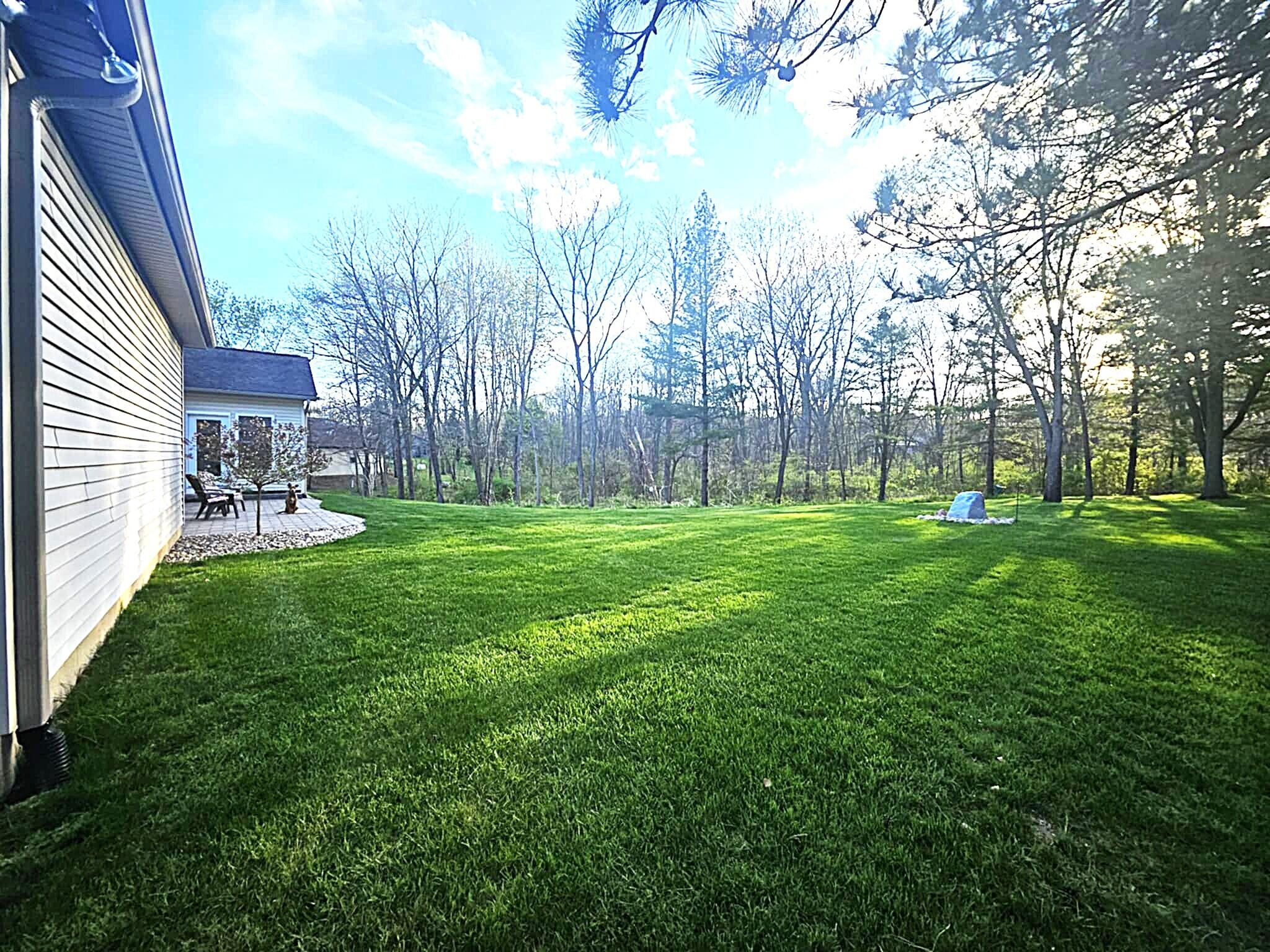 9290 Reynolds Road Bellevue, MI 49021 - Photo 3 of 37 back yard
