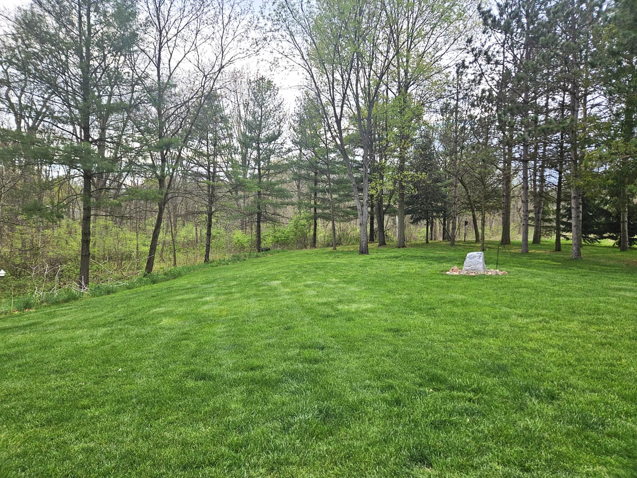 9290 Reynolds Road Bellevue, MI 49021 - Photo 5 of 37 back yard