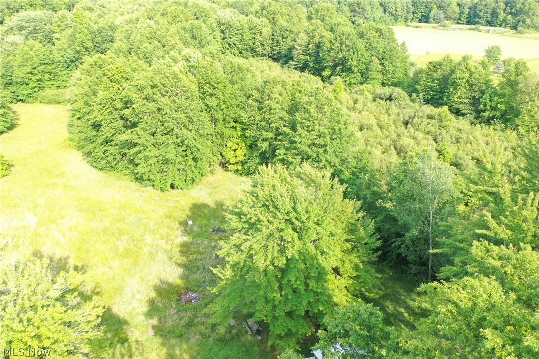 3646 Durst Clagg Road Cortland, OH 44410 - Photo 5 of 35 Gallery Image 5