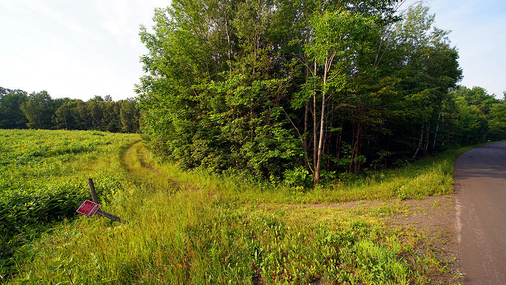 Lot 9-1 New Limerick Road Houlton, ME 04730 - Photo 24 of 40 leisner-maine-land-12
