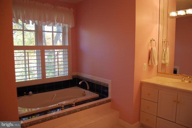 256 Long Point Road Crownsville, MD 21032 - Photo 12 of 30 Bath #1
