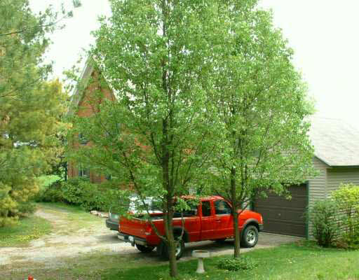 64015 Dogwood Road Wakarusa, IN 46573 - Photo 2 of 8