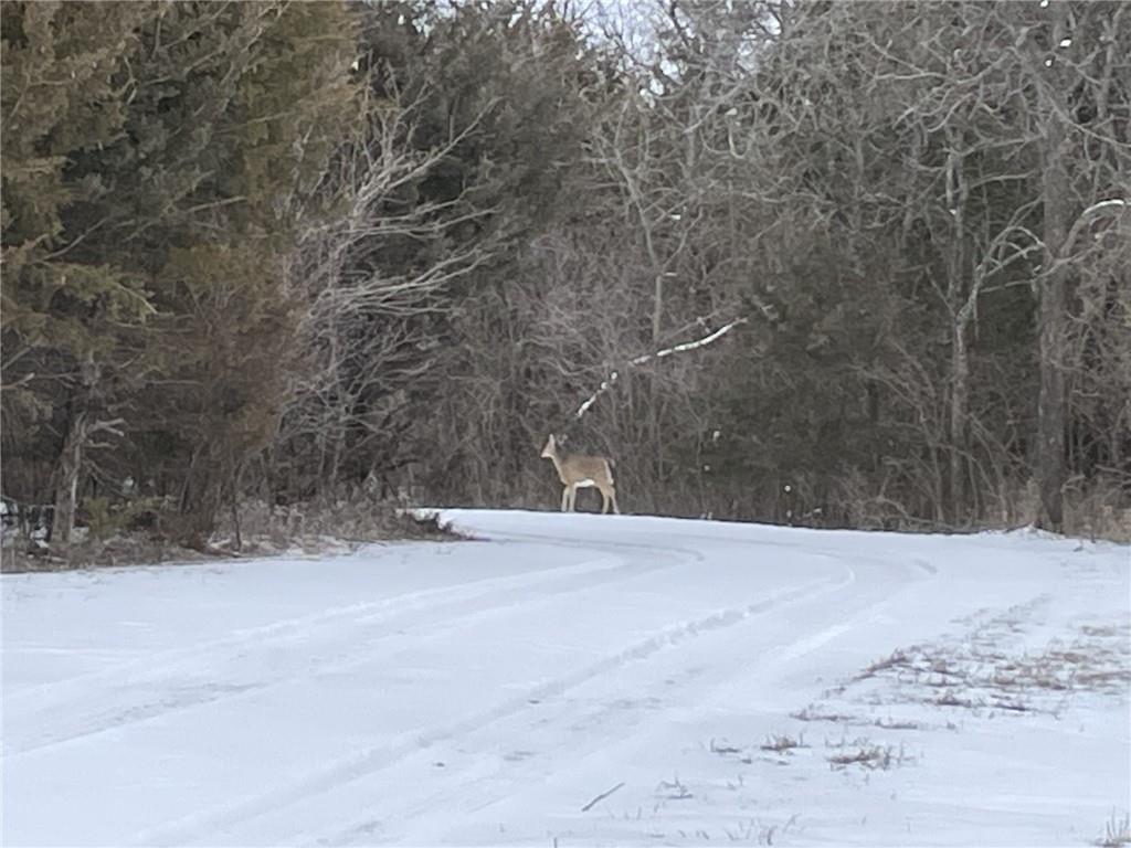 9885 Edgerton Road De Soto, KS 66018 - Photo 14 of 17