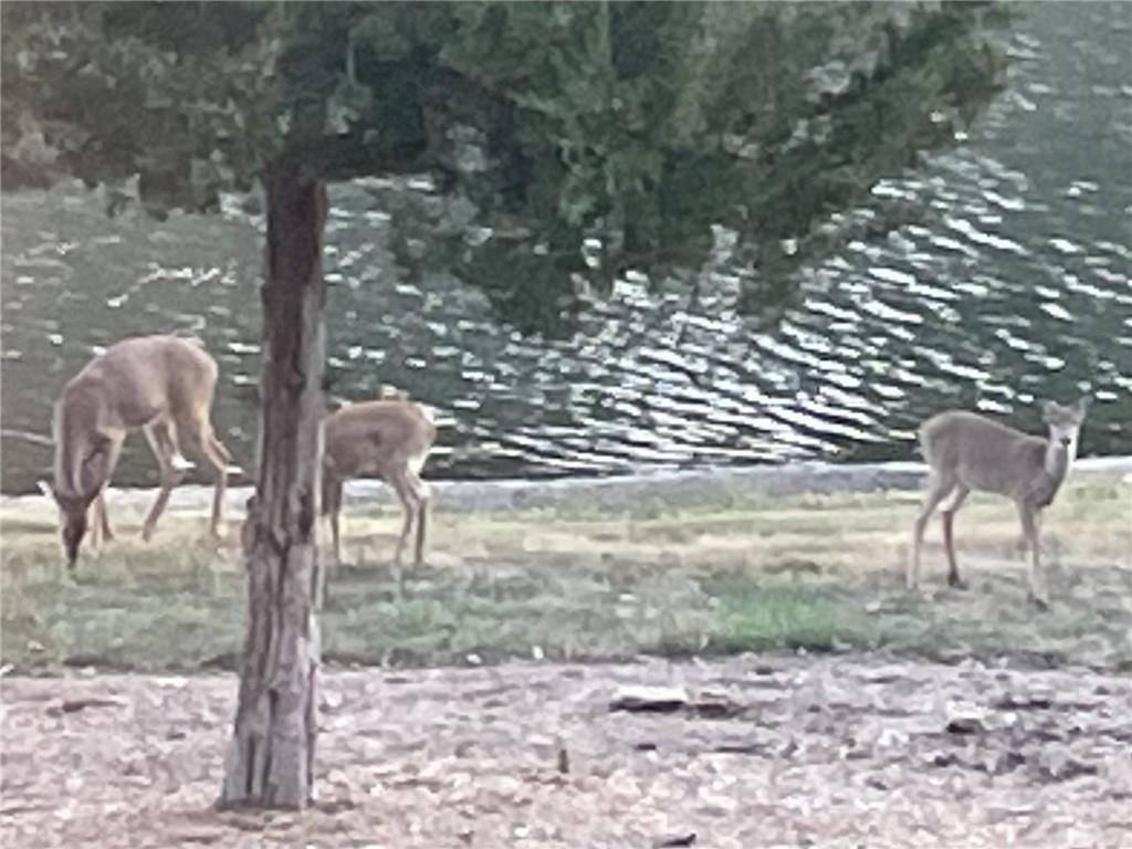 9885 Edgerton Road De Soto, KS 66018 - Photo 5 of 17