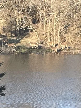 $1,200,000 | 9885 Edgerton Road, De Soto, KS 66018