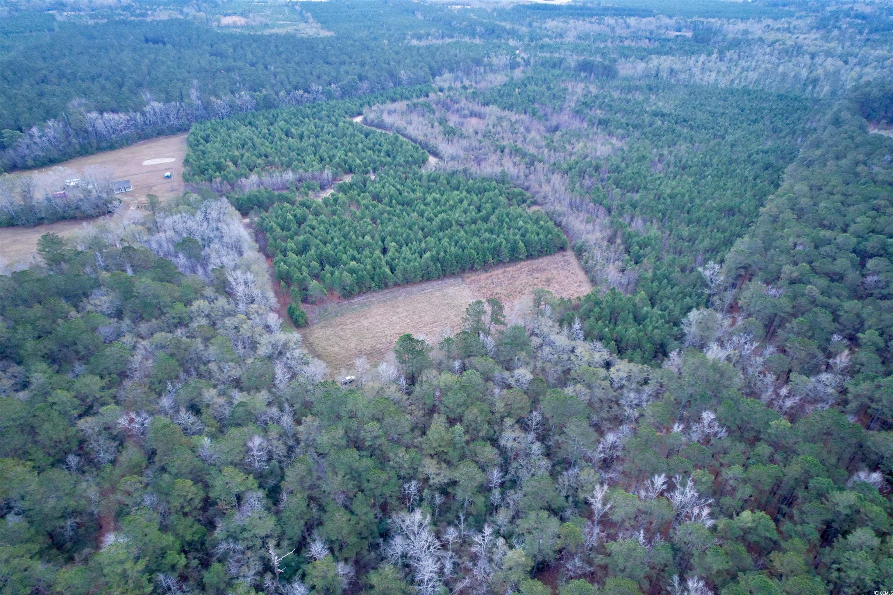 Lot 1-tbd Lot 1-tbd New Pine Road Johnsonville, SC 29555 - Photo 2 of 8