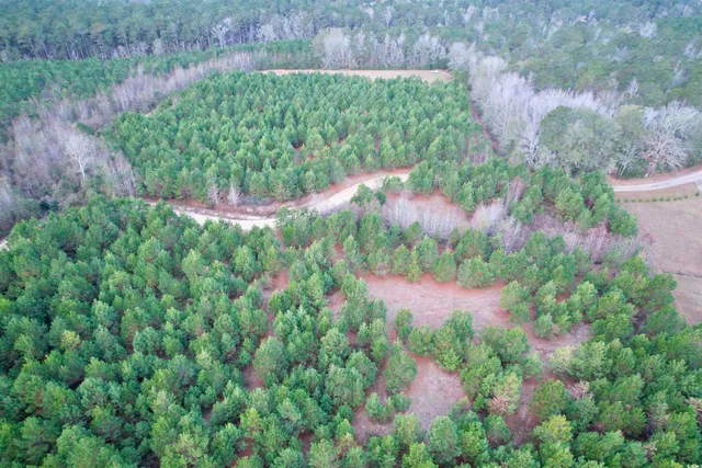 $80,000 | Lot 1-tbd Lot 1-tbd New Pine Road, Johnsonville, SC 29555