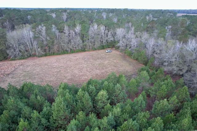 $80,000 | Lot 1-tbd Lot 1-tbd New Pine Road, Johnsonville, SC 29555