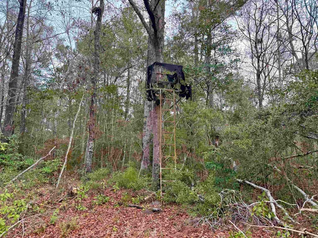 $80,000 | Lot 1-tbd Lot 1-tbd New Pine Road, Johnsonville, SC 29555