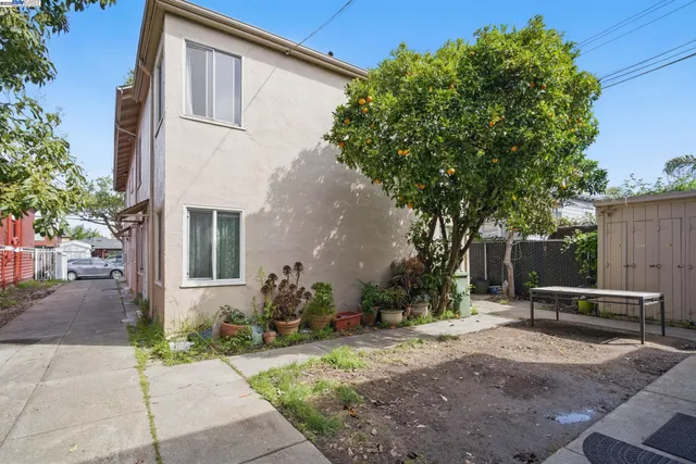 a backyard of a house with plants and trees