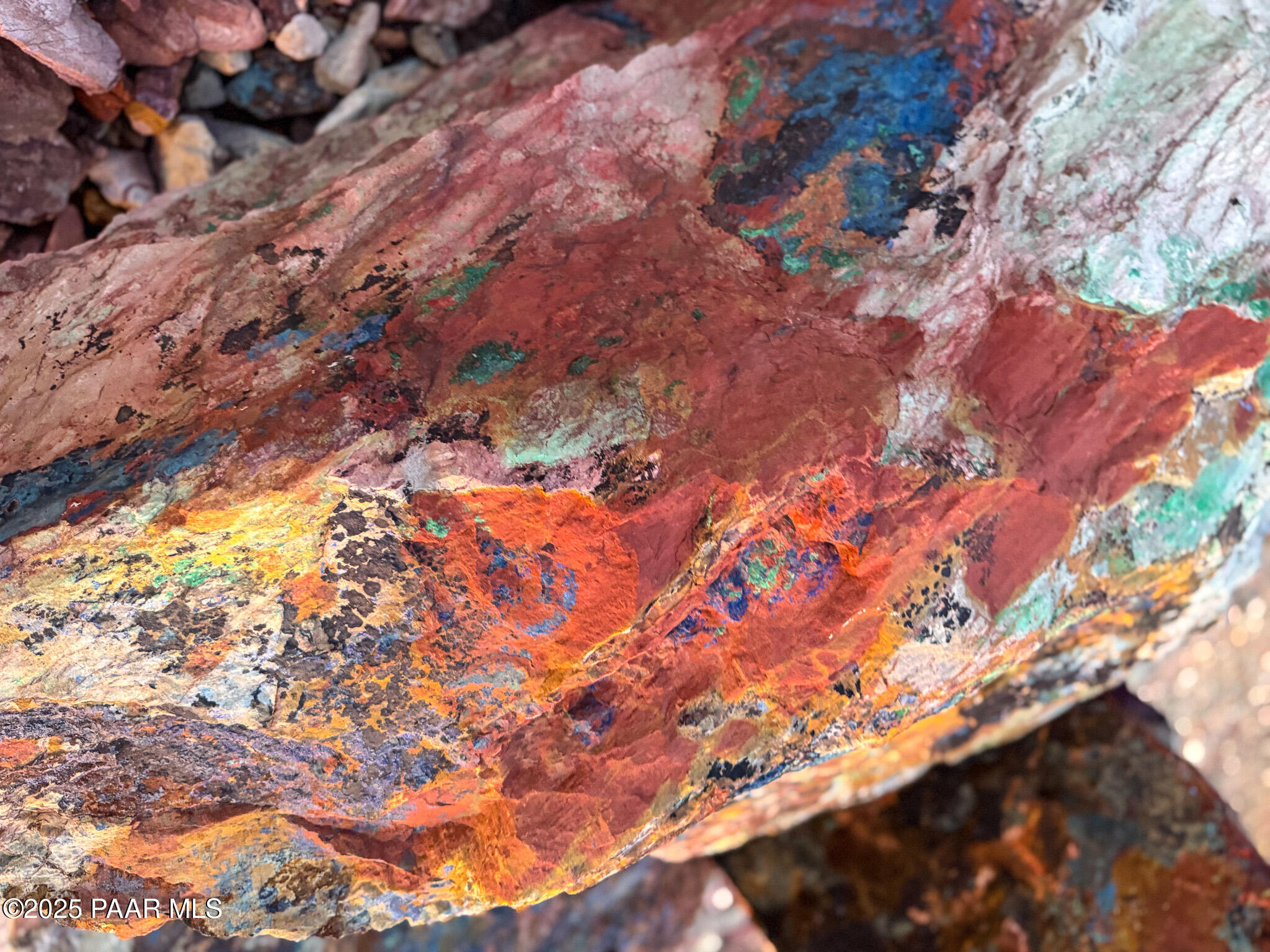 Tbd Tbd Copper Mountain Mayer, AZ 86333 - Photo 11 of 23 a view of tree