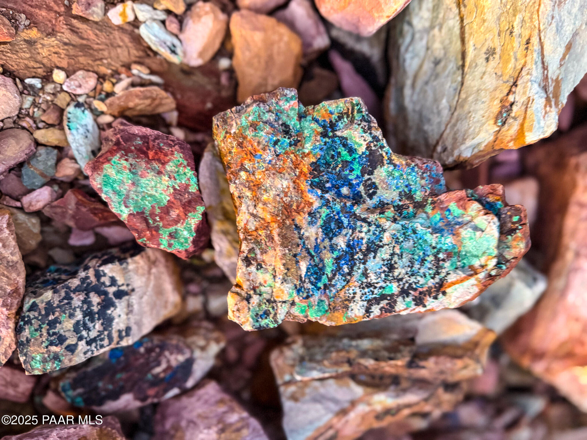 Tbd Tbd Copper Mountain Mayer, AZ 86333 - Photo 12 of 23 a view of a tree with flowers
