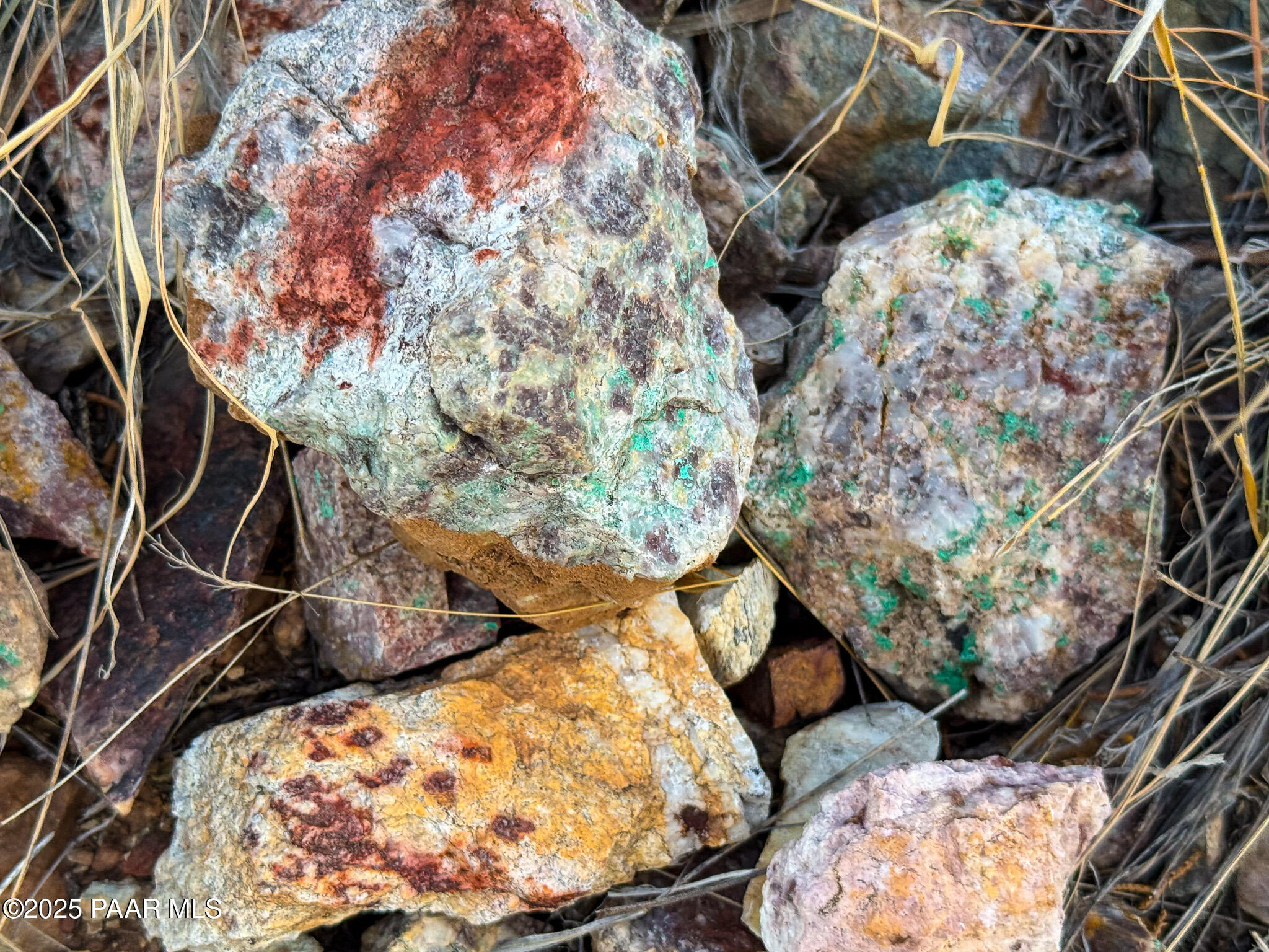 Tbd Tbd Copper Mountain Mayer, AZ 86333 - Photo 17 of 23 a bird view of the tree