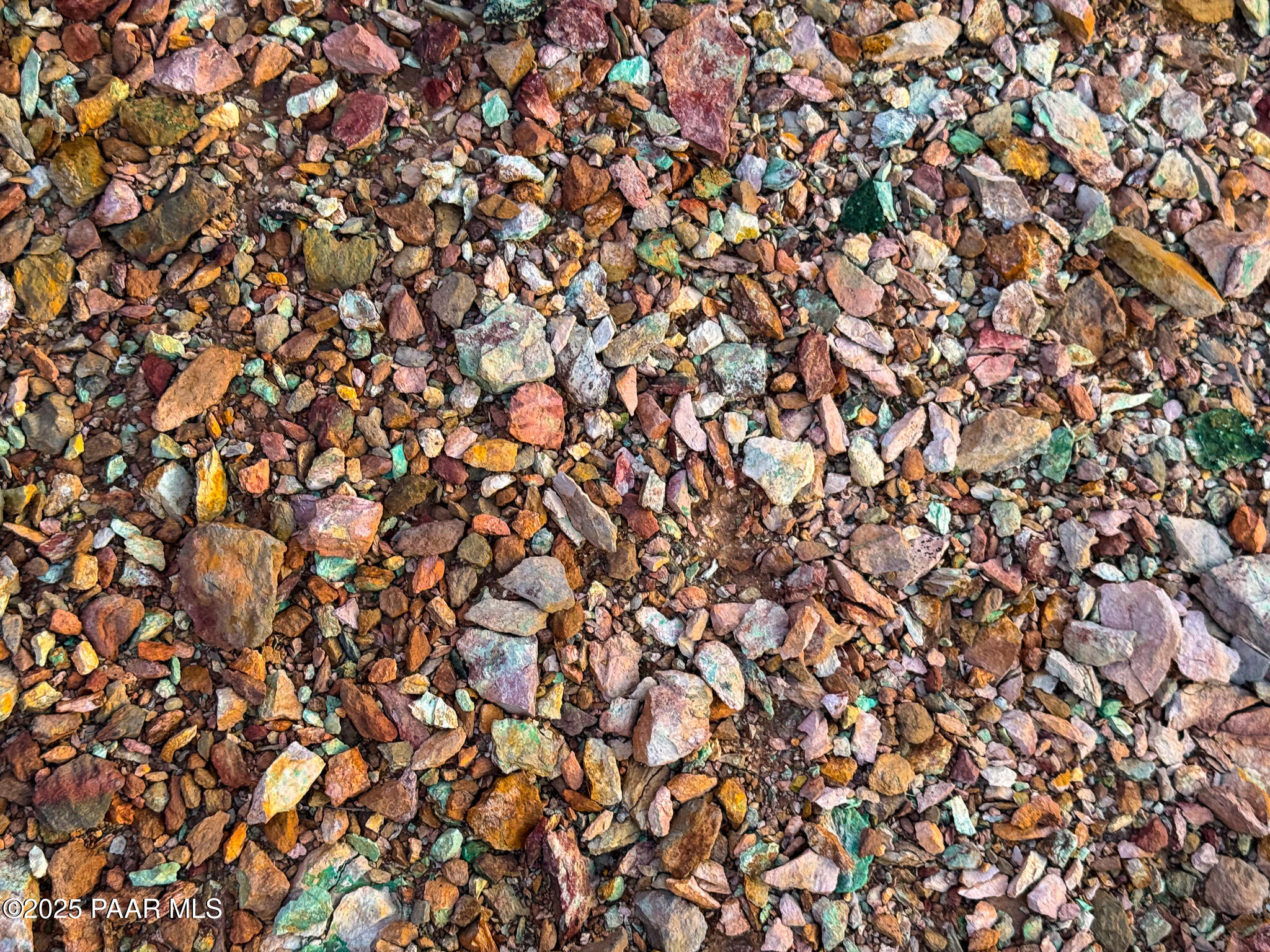 Tbd Tbd Copper Mountain Mayer, AZ 86333 - Photo 21 of 23 a view of a tree