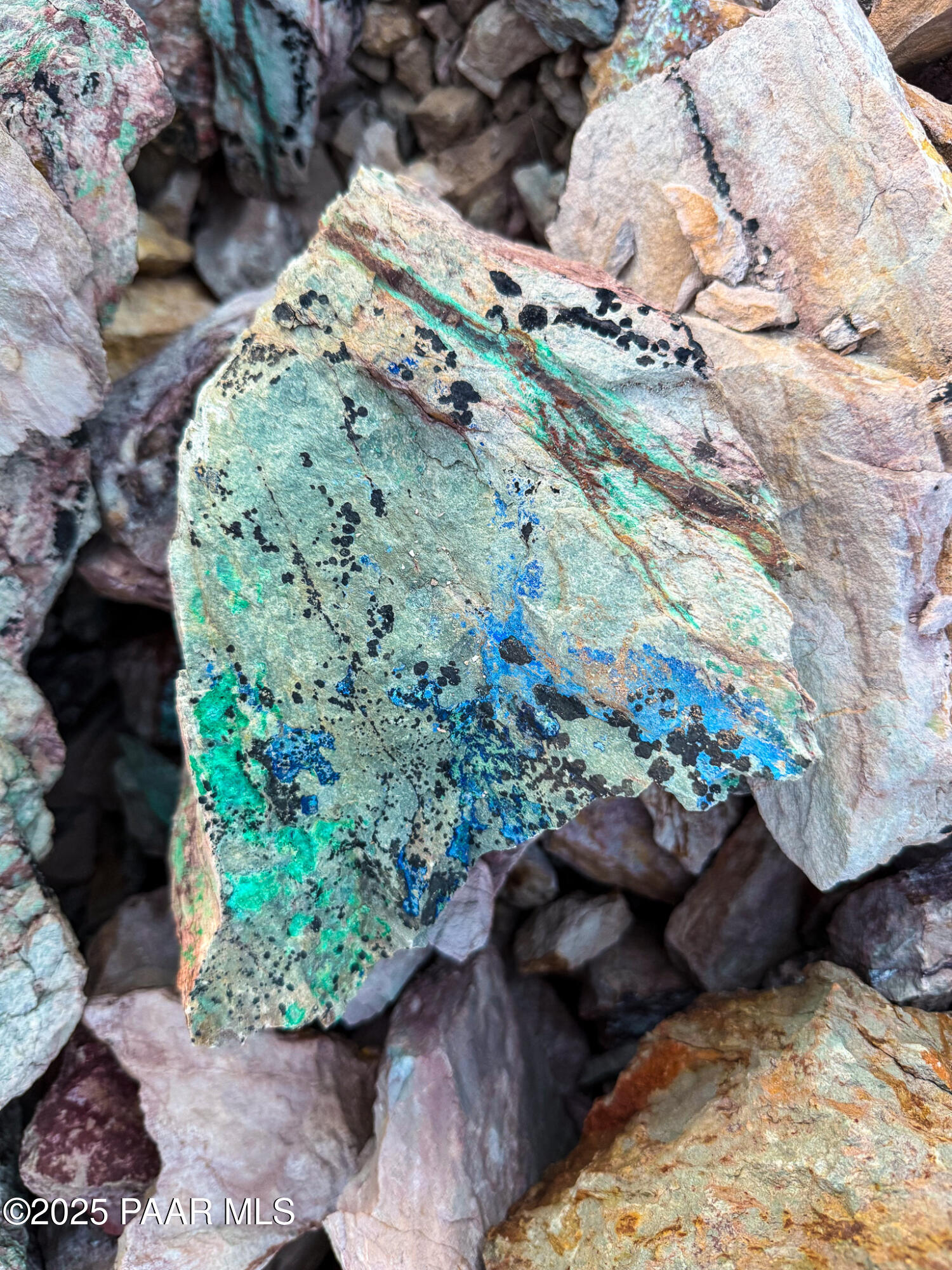 Tbd Tbd Copper Mountain Mayer, AZ 86333 - Photo 8 of 23 a picture of flowers